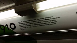 Поезд 81-740.4 русич "С искусством по пути".Вагон #0271