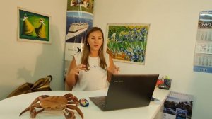 ТОП самых тусовочных отелей Турции на очень разный бюджет. Обзор 2021