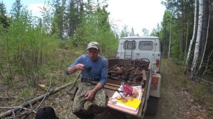 МЕТАЛЛАКОП ПО СЛЕДАМ ЛЕСОРУБОВ! НАШЁЛ ОСТАТКИ ТРАКТОРА ТДТ40! ЗАГРУЗИЛ ПОЛНЫЙ ПРИЦЕП МЕТАЛЛА!!!