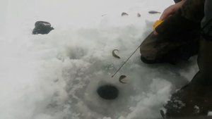 Блесна КТ 36 (КУРСКАЯ ТОРПЕДКА) КТ-36 часть 1