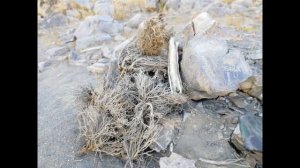 Озеро Сарез от реки Мургаб до завала