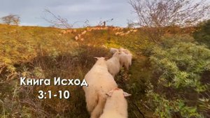 Книга Исход 3:1-10