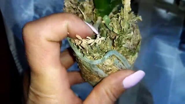 ураа, получила очередное посылку. ЛЕКО ФАНТАСТИК смотреть онлайн