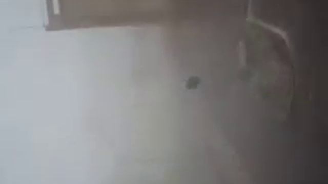 омск 26 04 2014г неблагоприятные погодные условия смотреть онлайн