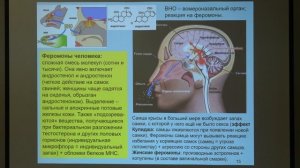 Дубынин В. А. - Физиология потребностей - Любовь и привязанность