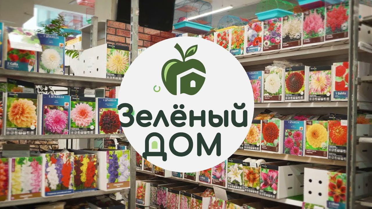 Зелёный дом- Луковичные цветы