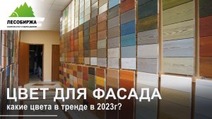 Какие цвета популярны в 2023 году