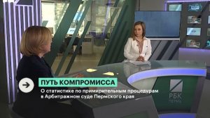 Интервью с заместителем председателя суда Кульбаковой Еленой Васильевной "Путь компромисса"