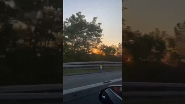 БЛАГОДАРИМ ВАС 🙏 ДРУЗЬЯ ЗА ПОЗДРАВЛЕНИЯ!🥳🎂🤝❤️😊🌸 смотреть онлайн