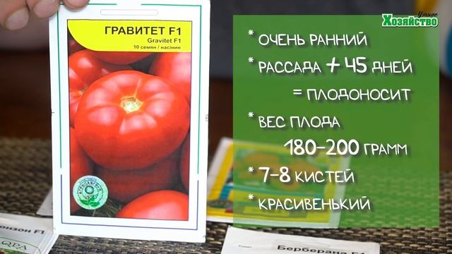 5 лучших томатов для выращивания в теплице в 2020 году!