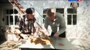 Язь против еды   Урбеч