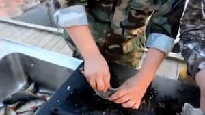 как быстро разделать окуня