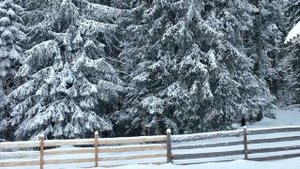 До слез красивая мелодия! Красивая мелодия до слёз! Одна из самых красивых, волшебных зимних мелоди