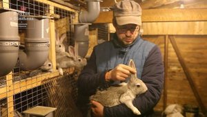Жизнь в крольчатнике. Часть 4
