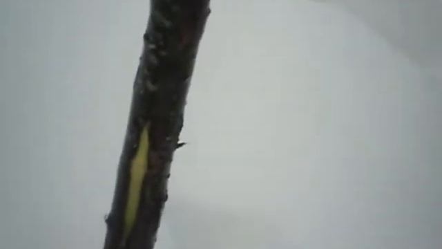 Рыбака на реке Коса Пермский край смотреть онлайн