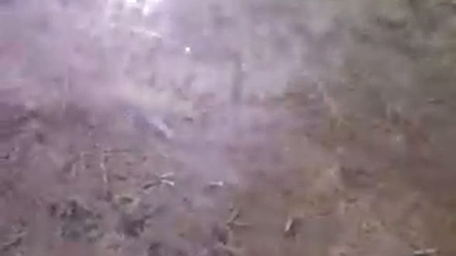 Маленький рак защищает свою территорию смотреть онлайн