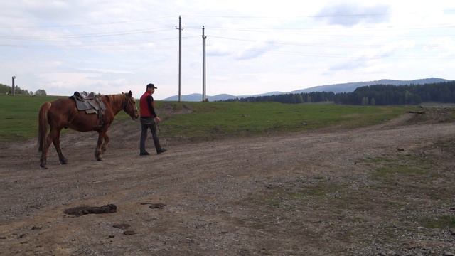 Нас водила молодость в сабельный поход -) смотреть онлайн
