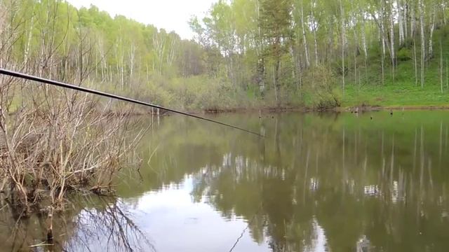 Ловля карася на поплавочную удочку смотреть онлайн