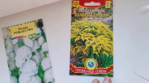 Что НЕ выросло!!!// отчёт 2ч.