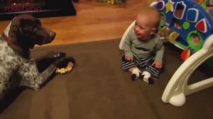 Best coub, приколы 2022, extra coub, coub mix, угар, memes 3