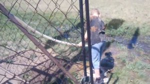 Вертикальный ветронасос для поднятия воды из скважини