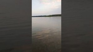 Yamaha 3 vs Riverboats 300 лайт +