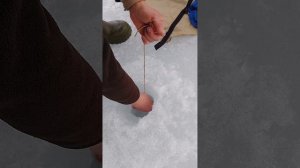 Надёжный способ крепления зимней палатки на льду