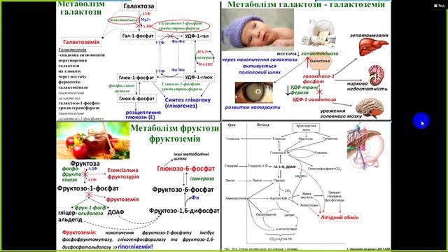 Біохімія печінка 1 частина