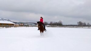 Этот прекрасный день