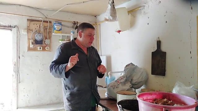 Мясокостная мука как давать