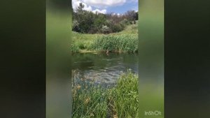 ЛОВЛЯ РАКОВ НА РЕКЕ КАЛЬМИУС! БАСОТА))