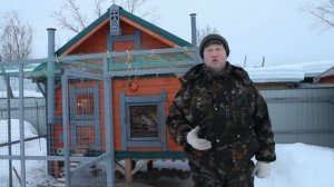 Главная причина многих проблем у домашней птицы.