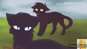 Коты Воители - Луна не знает пути