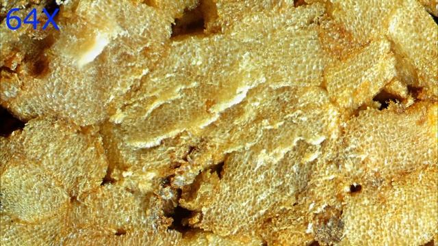 Привычные вещи под микроскопом. Часть4