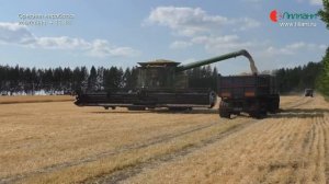 Безостановочная уборка зерна с бункером-перегрузчиком в агрохолдинге РУСМОЛКО