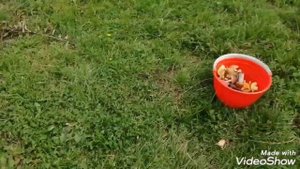 Река Тверца. Прогулка. Тверская область.