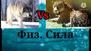 Волк против Ягуара