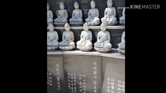 Буддийские храмы смотреть онлайн