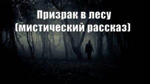 Призрак помог выбраться из леса. Мистический рассказ