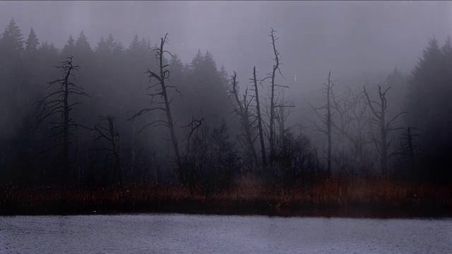 ХОЛОДНЫЙ ноябрь / МЕСЯЦ до зимы / МУЗЫКА ноября / МРАЧНЫЙ пейзаж...