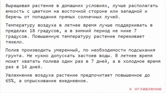 Бомарея ---- цветок-лиана. Посадка и уход, грунт и размножение семенами смотреть онлайн