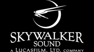 SKYWALKER BIG SWALLOW SOUND