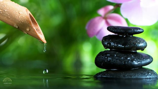 Meditación del sueño durante 5 minutos La meditación del sueño cura eficazmente el insomnio😴