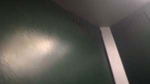 Электрические лифты V=1, 1,6 м-с, грузоподъемность 320, 400, 500, 630 кг (2355)