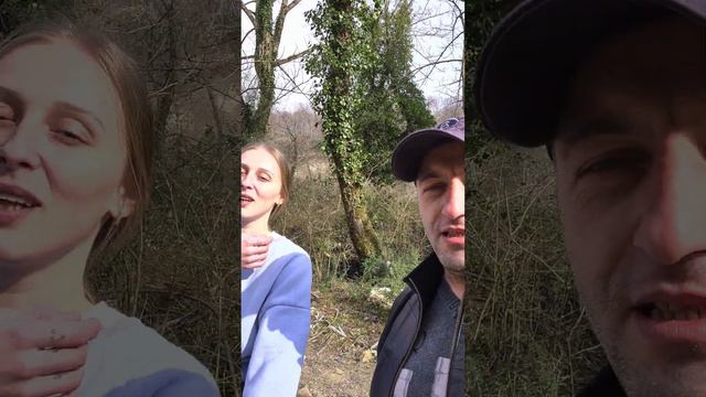 Знакомство стаффорд Локи и питбуль Астрит! Отдал Локи в заботливые руки! смотреть онлайн