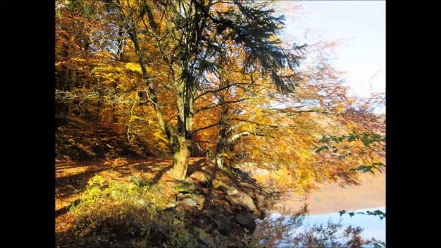 Січинський, сл. Гавалевича. Бабине літо смотреть онлайн