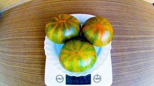 Cherokee Lime Stripes. Томат - Чероки лимонные полосы