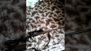 CZ 550 Lux Varmint, 308, обзор.