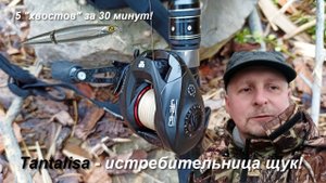 Пять хвостов за 30 минут!
 #Ловля щуки на #воблер #Tantalisa 70F