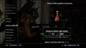 Skyrim - Best Potion In The Game (final)